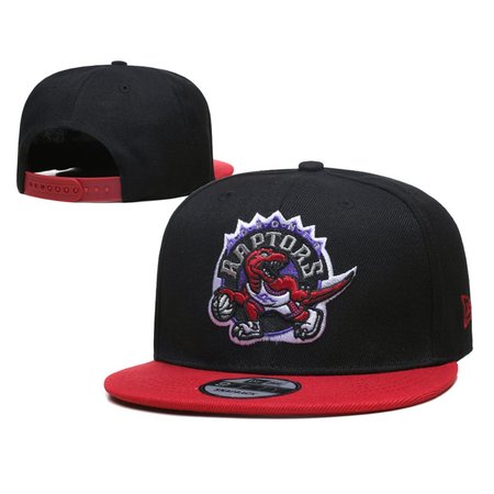 Toronto Raptors Snapback Hat